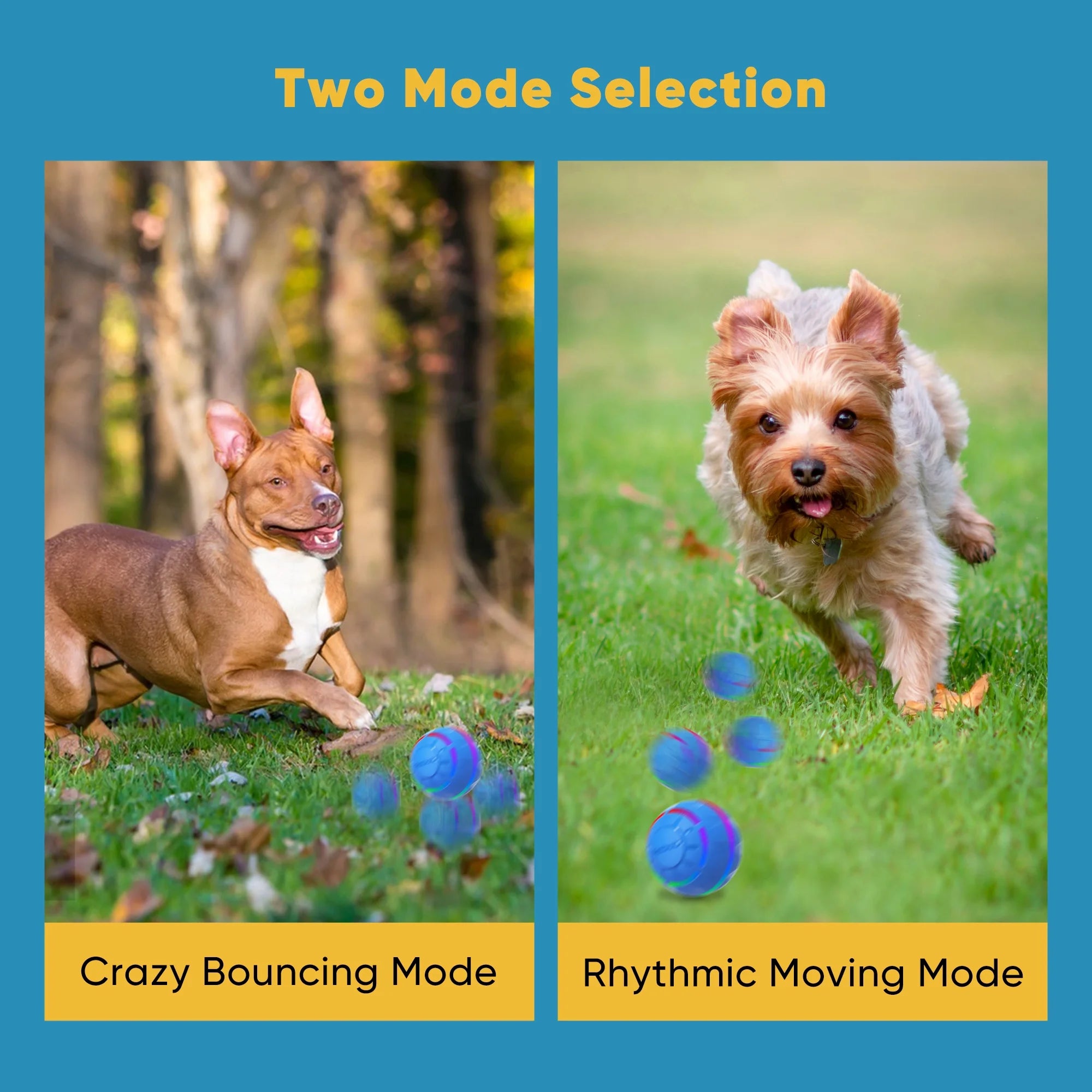 Interactive Toy Dog Ball, Active Rolling Ball for Dogs with Flashing LED Light, Moving Bouncing Toys Ball for Medium Large Dogs, USB Rechargeable, Blue